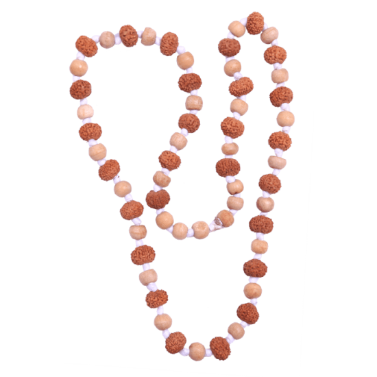 9 Mukhi Rudraksha Mala 27 beads (Certified) 56.30 gms