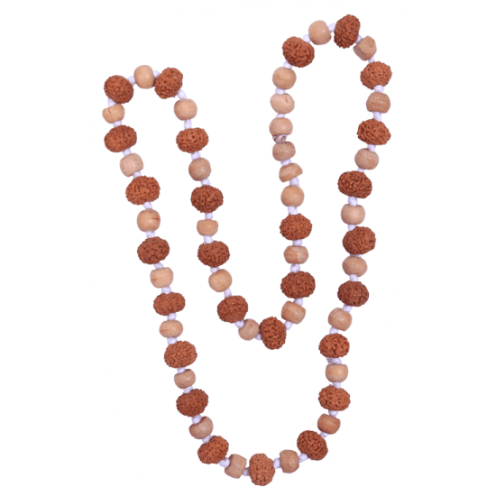 9 Mukhi Rudraksha Mala 27 beads (Certified) 59.39 gms