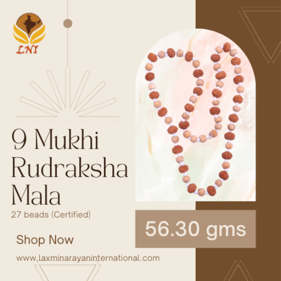 9 Mukhi Rudraksha Mala 27 beads (Certified) 56.30 gms