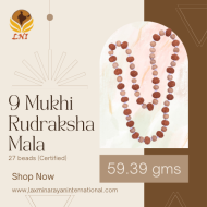 9 Mukhi Rudraksha Mala 27 beads (Certified) 59.39 gms