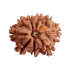 9 Mukhi Rudraksha Size 15.95 mm (With Lab Certificate)