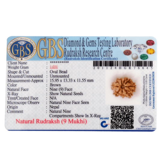 9 Mukhi Rudraksha Size 15.95 mm (With Lab Certificate) image