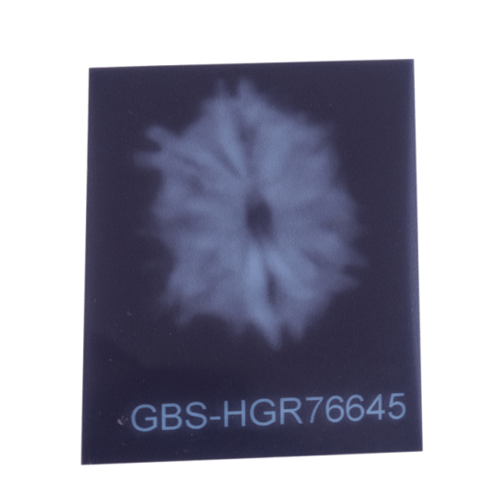 9 Mukhi Rudraksha Size 15.95 mm (With Lab Certificate) image