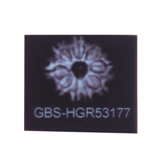 9 Mukhi Rudraksha Size 17.13 mm (Certified) Rudraksha, 9 Mukhi Rudraksha, 9 Mukhi Rudraksha from Nepal image