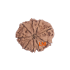 9 Mukhi Rudraksha Size 19.35 mm (Certified)