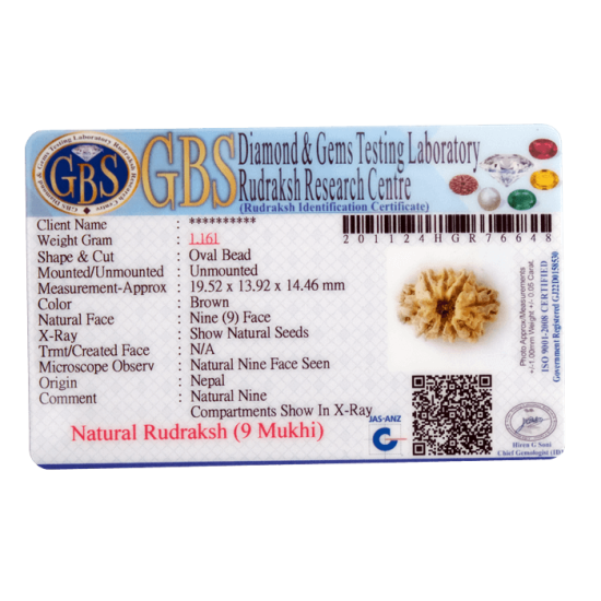 9 Mukhi Rudraksha Size 17.80 mm (Certified) Rudraksha, 9 Mukhi Rudraksha, 9 Mukhi Rudraksha from Nepal image