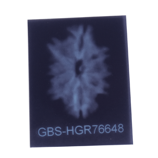 9 Mukhi Rudraksha Size 17.80 mm (Certified) Rudraksha, 9 Mukhi Rudraksha, 9 Mukhi Rudraksha from Nepal image