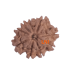 9 Mukhi Rudraksha Size: 20.64 mm (Certified)