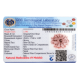 9 Mukhi Rudraksha Size: 23.55 mm (Certified) image
