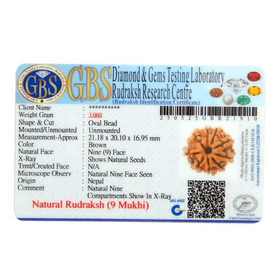 9 Mukhi Rudraksha Size 22.53 mm (Certified) image