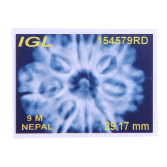 9 Mukhi Rudraksha Size 27.85 mm (Certified) image
