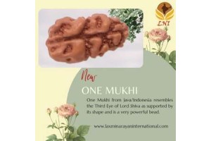 One Mukhi Rudraksha-use, types, benefits, power and significance