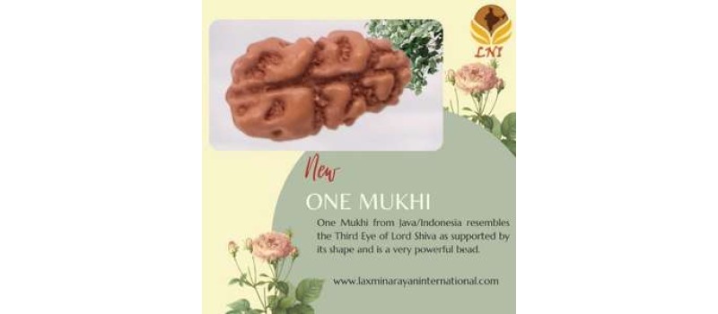 One Mukhi Rudraksha-use, types, benefits, power and significance