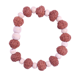 11 Mukhi Bracelet 12 beads (Certified)