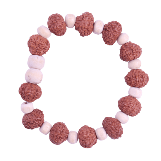 11 Mukhi Bracelet 12 beads (Certified)