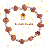 14 Mukhi Rudraksha Bracelet 12 beads (Certified)