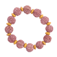 7 Mukhi Bracelet 12 beads (Certified)21.324gms