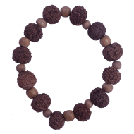 8 Mukhi Bracelet12 beads (Certified)