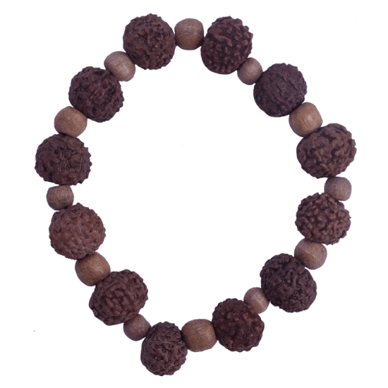 8 Mukhi Bracelet12 beads (Certified)