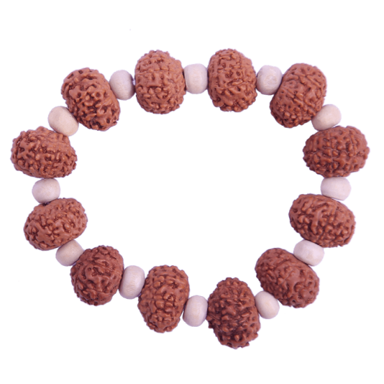 9 Mukhi Bracelet 12 beads (Certified)