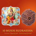 10 Mukhi Rudraksha