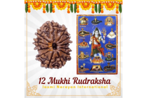 How 12 Mukhi Rudraksha Can Transform Your Life: A Comprehensive Overview