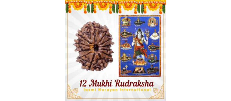 How 12 Mukhi Rudraksha Can Transform Your Life: A Comprehensive Overview