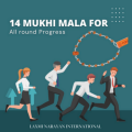 14 Mukhi Mala / Bracelet