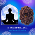 15 Mukhi Rudraksha