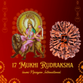 17 Mukhi Rudraksha