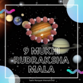 9 Mukhi Mala / Bracelet