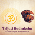 Buy Trijuti Rudraksha Online	