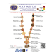 MPMC Rudraksha Mala  (Certified) 41.214g