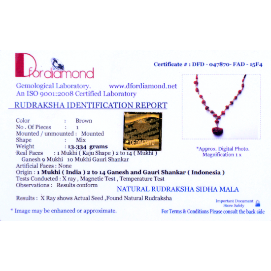 Multi Purpose Multi Combination Rudraksha Mala  (With Lab Certificate)