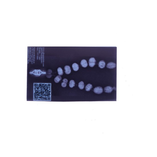 MPMC Rudraksha Mala (Certified) 7.489 gms