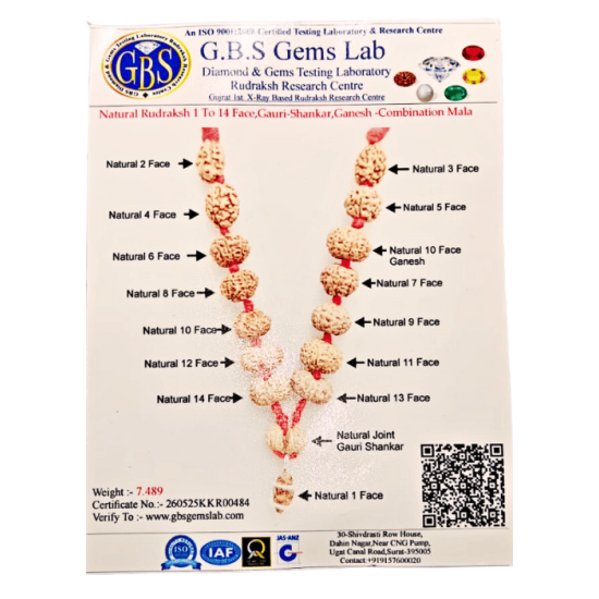 MPMC Rudraksha Mala (Certified) 7.489 gms