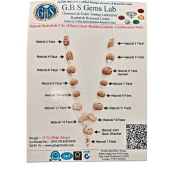 Multi Purpose Multi Combination Mala 17.572g (Certified)