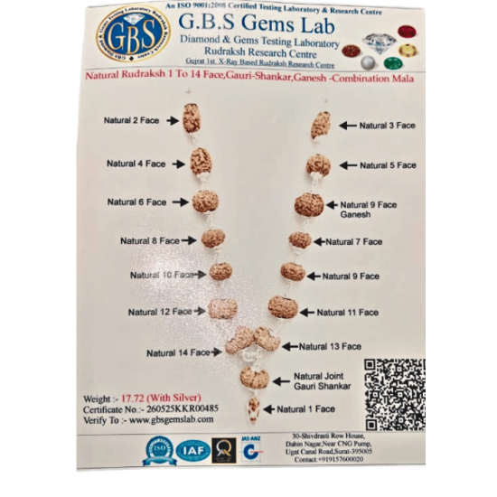 Multi Purpose Multi Combination Mala 17.572g (Certified)