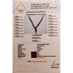 MPMC Rudraksha Mala  (Certified) 1-17mukhi