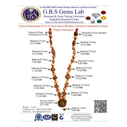 MPMC Rudraksha Mala  (Certified) 0-15 mukhi 14.202gms