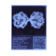 10 Mukhi Gauri Shankar Rudraksha Size 27.50 mm (Certified) image