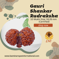10 Mukhi Gauri Shankar Ganesha Size: 18.26 mm (Certified)