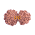 13 Mukhi Gauri Shankar Rudraksha Size: 33.55 mm (Certified)