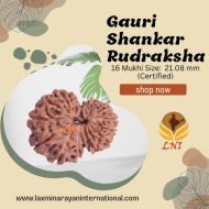 16 Mukhi Gauri Shankar Rudraksha Size: 21.08 mm (Certified)