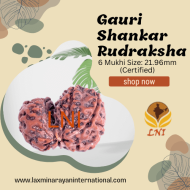 6 Mukhi Gauri Shankar Rudraksha Size: 21.96mm (Certified)