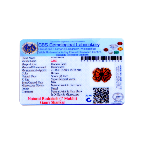 7 Mukhi Gauri Shankar Rudraksha Size 30.10 mm (Certified) Higher Rudraksha, Buy Gauri Shankar Rudraksha, 5 to 13 Mukhi Gauri Shankar (Nepal) image