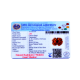 7 Mukhi Gauri Shankar Rudraksha Size 30.10 mm (Certified) Higher Rudraksha, Buy Gauri Shankar Rudraksha, 5 to 13 Mukhi Gauri Shankar (Nepal) image