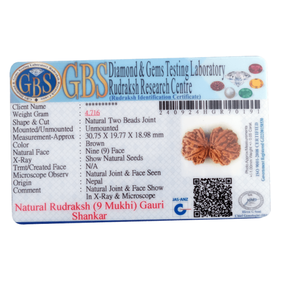 9 Mukhi Gauri Shankar Rudraksha certified natural bead