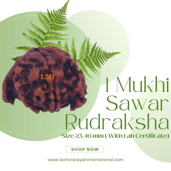 1 Mukhi Sawar with Ganesha Rudraksha Size 23.46 mm ( With Lab Certificate)