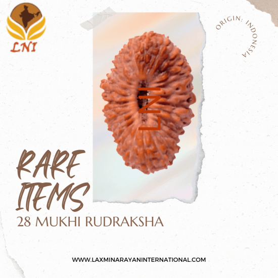28 Mukhi Rudraksha Size: 16.52 mm (With Lab Certificate)